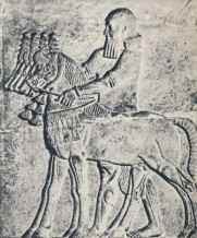 roi-assyrie-cheval2